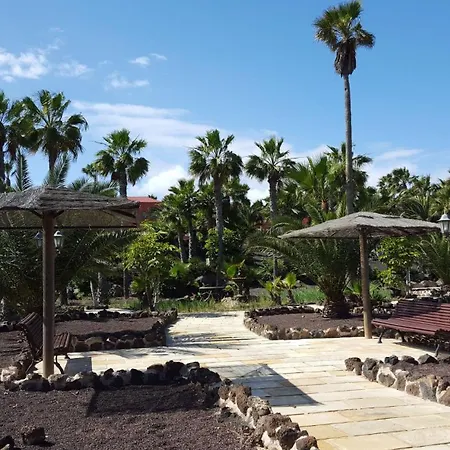 Oasis Royal 2 3 Piscinas-fibra Ptica * Corralejo