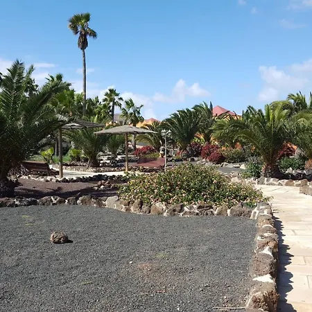 Oasis Royal 2 Piscinasfibra Optica Corralejo