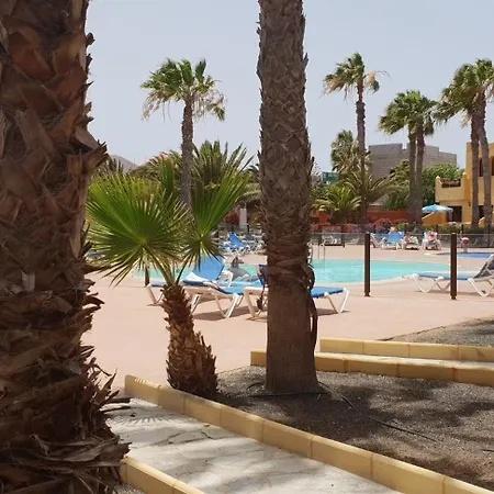 Oasis Royal 2 Piscinasfibra Optica