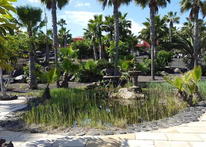 Oasis Royal 2 3 Piscinas-fibra Ptica Apartment Corralejo