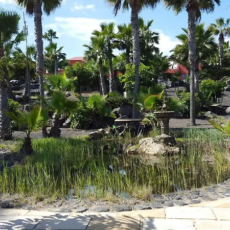 Oasis Royal 2 3 Piscinas-fibra Ptica 公寓 科拉雷侯